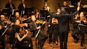 Imagen para la categoría Conciertos