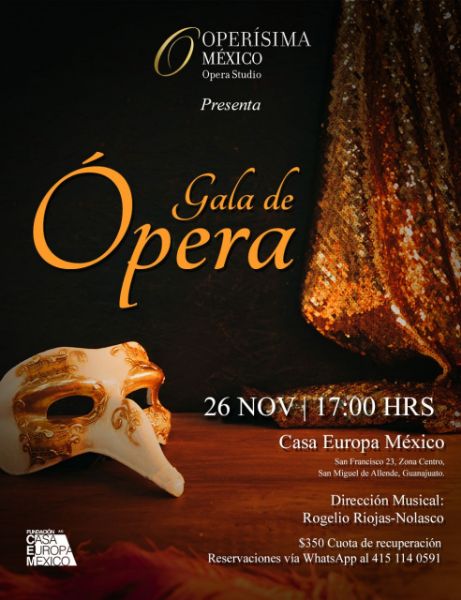 Imagen de Concierto de Gala de Ópera