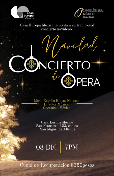 Imagen de Navidad concierto de ópera  